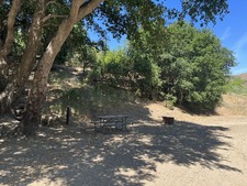 Enlarge photo 61