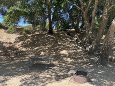 Enlarge photo 62