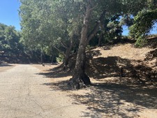 Enlarge photo 63