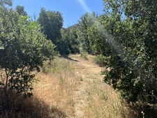 Enlarge photo 67