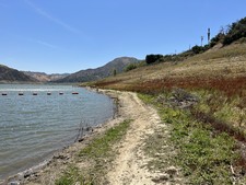 Enlarge photo 80