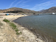 Enlarge photo 81