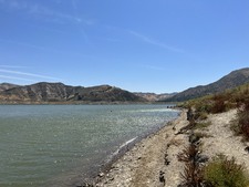 Enlarge photo 87