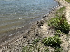 Enlarge photo 93