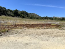 Enlarge photo 94