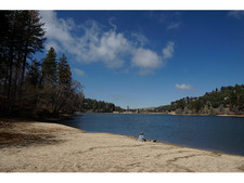 Enlarge photo 71
