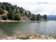 Enlarge photo 68