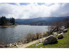 Enlarge photo 67
