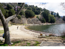 Enlarge photo 65