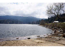 Enlarge photo 63