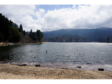 Enlarge photo 62