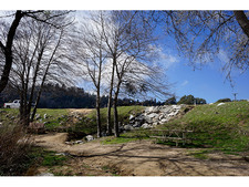 Enlarge photo 60