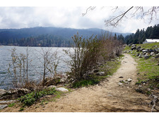 Enlarge photo 61