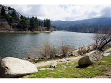 Enlarge photo 59