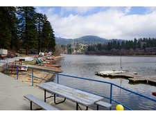 Enlarge photo 57