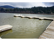 Enlarge photo 53