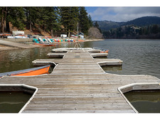 Enlarge photo 52