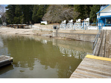 Enlarge photo 50