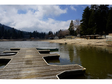 Enlarge photo 49