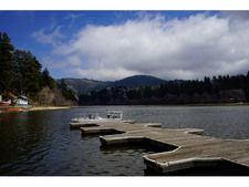 Enlarge photo 45