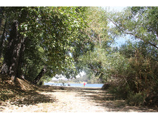 Enlarge photo 43