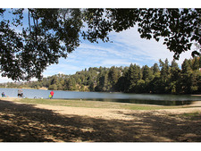 Enlarge photo 42