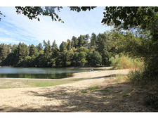 Enlarge photo 41