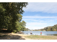 Enlarge photo 40