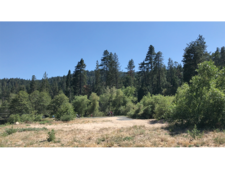 Enlarge photo 37