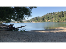Enlarge photo 36