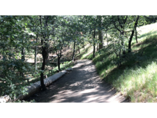 Enlarge photo 34