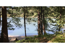 Enlarge photo 33