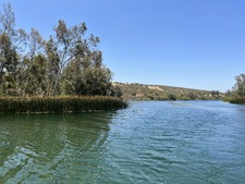 Enlarge photo 30