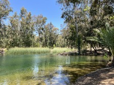 Enlarge photo 33