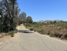 Enlarge photo 41