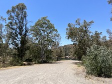 Enlarge photo 42