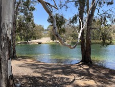 Enlarge photo 43