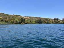Enlarge photo 46