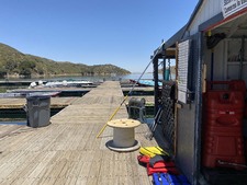 Enlarge photo 20