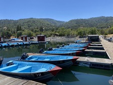 Enlarge photo 22