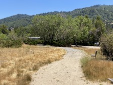 Enlarge photo 38