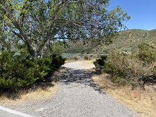 Enlarge photo 41