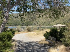 Enlarge photo 43