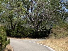 Enlarge photo 45