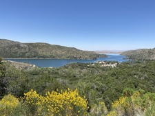 Enlarge photo 49