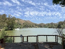 Enlarge photo 14