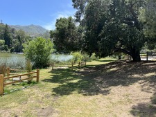 Enlarge photo 17