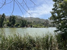 Enlarge photo 21