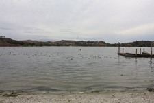 Enlarge photo 15