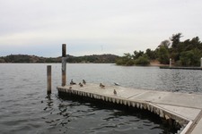 Enlarge photo 19